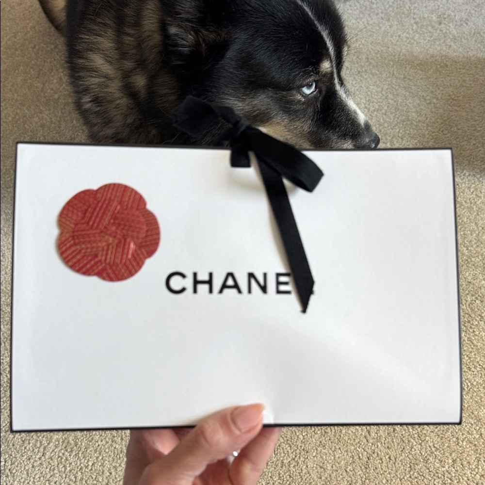 CHANEL White Envelope Bag with Red Floral Accent